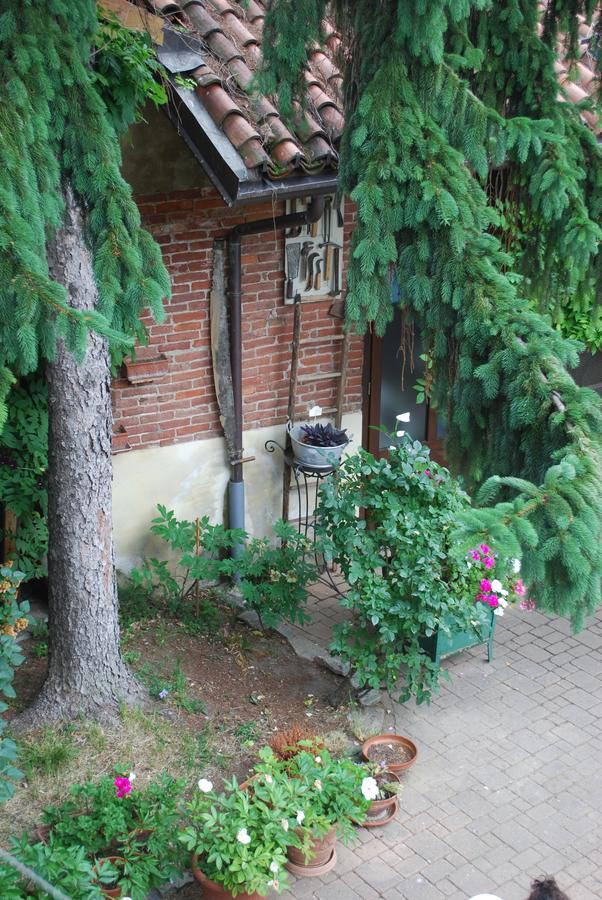 La Curandera Bed & Breakfast Rosta Luaran gambar